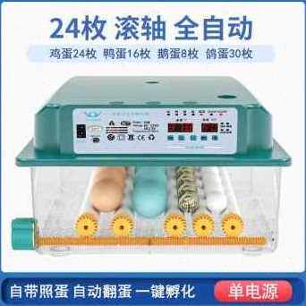 极速厂促新新款的孵化器儿童小型迷蛋s鹉自动Q家用卵蛋器鸡蛋鸟你