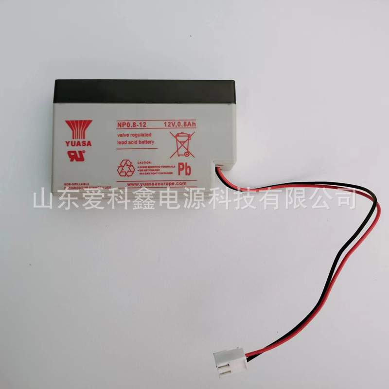YUASA汤浅蓄电池 NP10-6 6V10AH 门禁仪器应急电源 6V10AH蓄电池