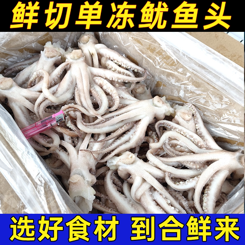 新鲜冷冻鱿鱼头鱿鱼须商用铁板烧烤鱿鱼头冷冻鱿鱼须餐饮饭店食材