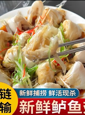 新鲜鲈鱼翅鲜活现杀速冻海鲈鱼下巴鮰鱼翅鲜冻5斤鱼腹鳍海鲜商用