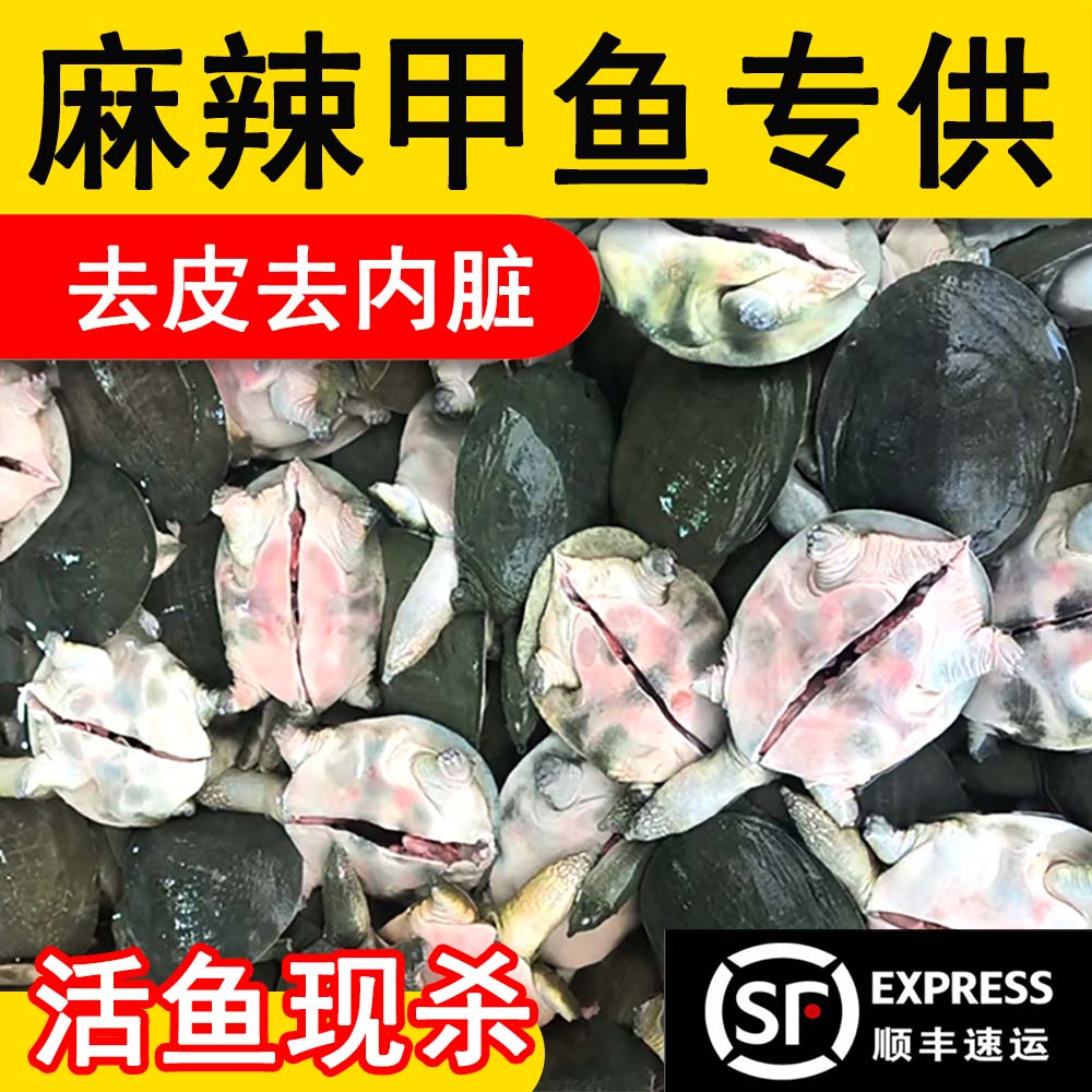 甲鱼杀后净重麻辣卤甲鱼
