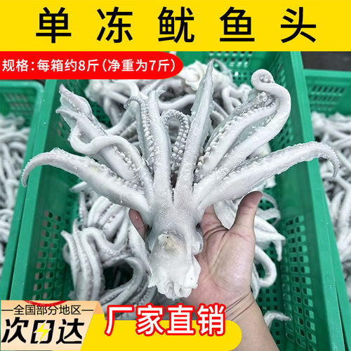 商用批发冷冻鱿鱼头铁板烧烤专用