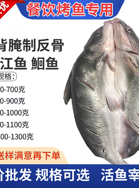 开背清江鱼商用鲜活冷冻烤鱼腌制半成品纸包鱼调味腌制鮰鱼商用