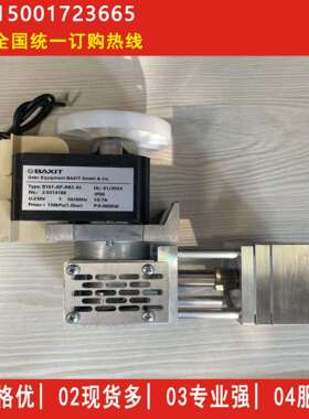 B161-AP-AB2-AL耐高温240烟气不锈钢防腐气体采样泵VOC采样气泵