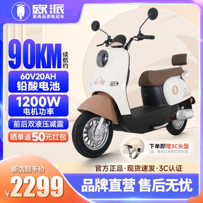 电动车长续航电瓶车60V22AH