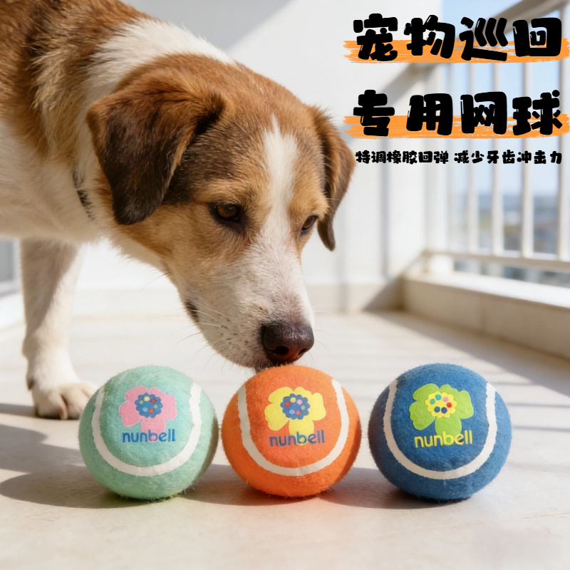 狗狗玩具网球户外人宠巡回互动球磨牙解闷耐咬小中大型犬橡胶球