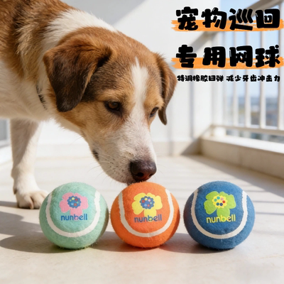 狗狗玩具网球户外人宠巡回互动球磨牙解闷耐咬小中大型犬橡胶球