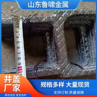 球墨铸铁爬梯市政工程窑井污水井检查井踏步防滑GB/T13401合规性