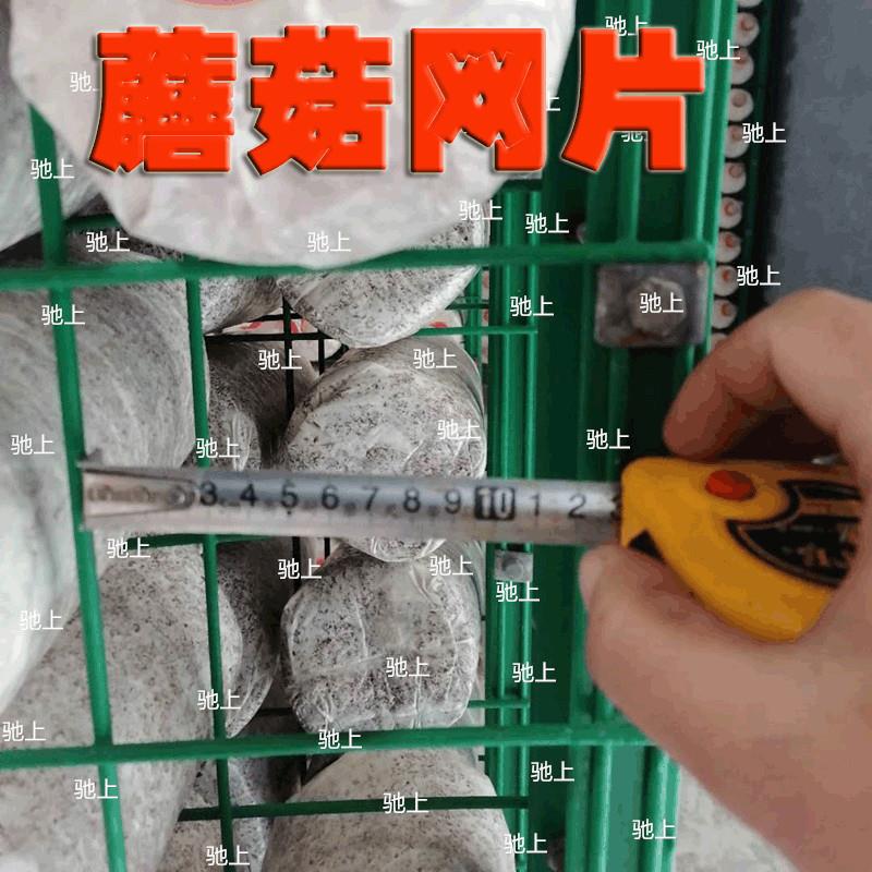 蘑菇网片食用菌网格网架平菇香菇架子出菇房杏鲍菇香菇培菌出菇架