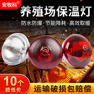 保温灯养殖场专用小鸡育雏保温灯泡仔猪保暖灯加热烤灯猪舍取暖灯