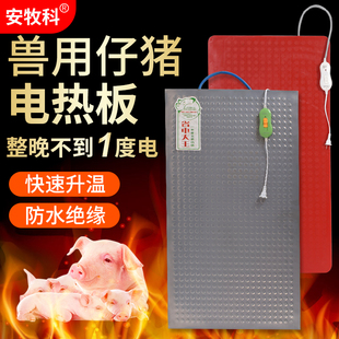 仔猪电热板兽用加热板小猪养殖场橡胶加厚保温板不锈钢发热电热板