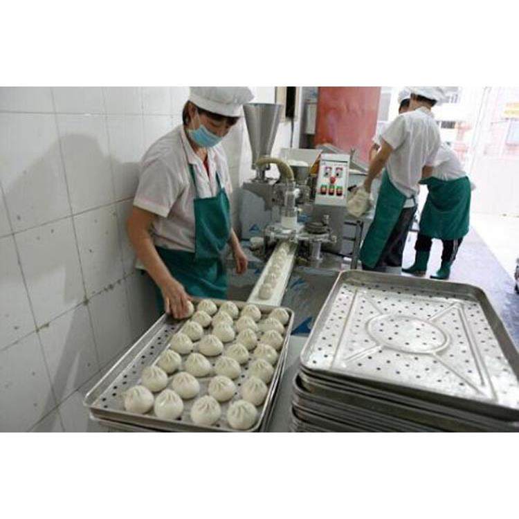 包子机全自动商用小型家用创业大包小笼包灌汤包生煎包馒头机,清洗/食品/商业设备,其他食品加工设备,淘宝优惠券,粉丝福利购,淘宝优惠卷