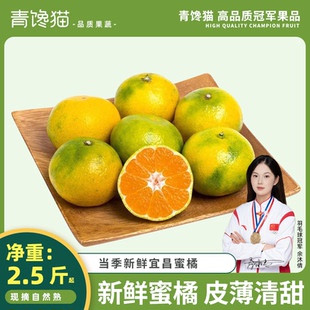 宜昌蜜桔新鲜水果9斤青皮蜜橘应季早熟橘子无籽桔子孕妇整箱包邮