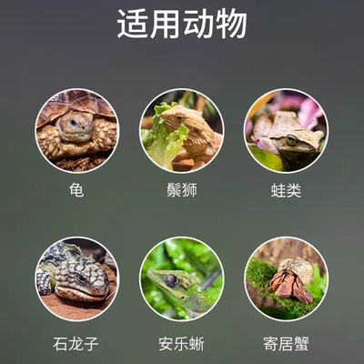 瑞皮Reptizoo爬宠温湿度计爬虫饲养箱温度计宠物角蛙蜥蜴龟鬃狮