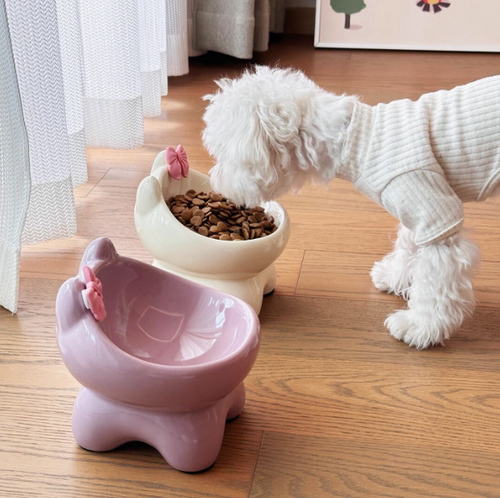 宠物碗高脚狗盆狗碗猫碗猫食盆