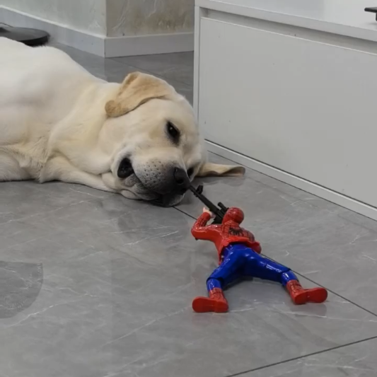 逗猫狗玩具电动爬行迷彩兵蜘蛛侠绿巨超人美队带抢声音宠物玩具