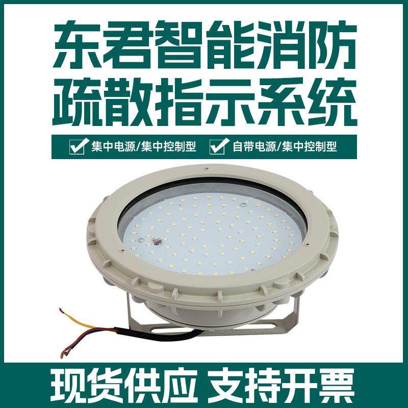 东君照明LED防爆吸顶灯 工厂车间仓库油站船舶阳台地下室吸顶灯,鲜花速递/花卉仿真/绿植园艺,割草机/草坪机,淘宝优惠券,粉丝福利购,淘宝优惠卷