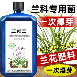 兰花专用兰灵王抑菌微生物黄叶生根石斛种植花土开花肥营养通用型