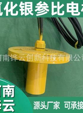 抗压型CPMS系统氯化银参比电极 15MPa耐压防腐电位实时监测