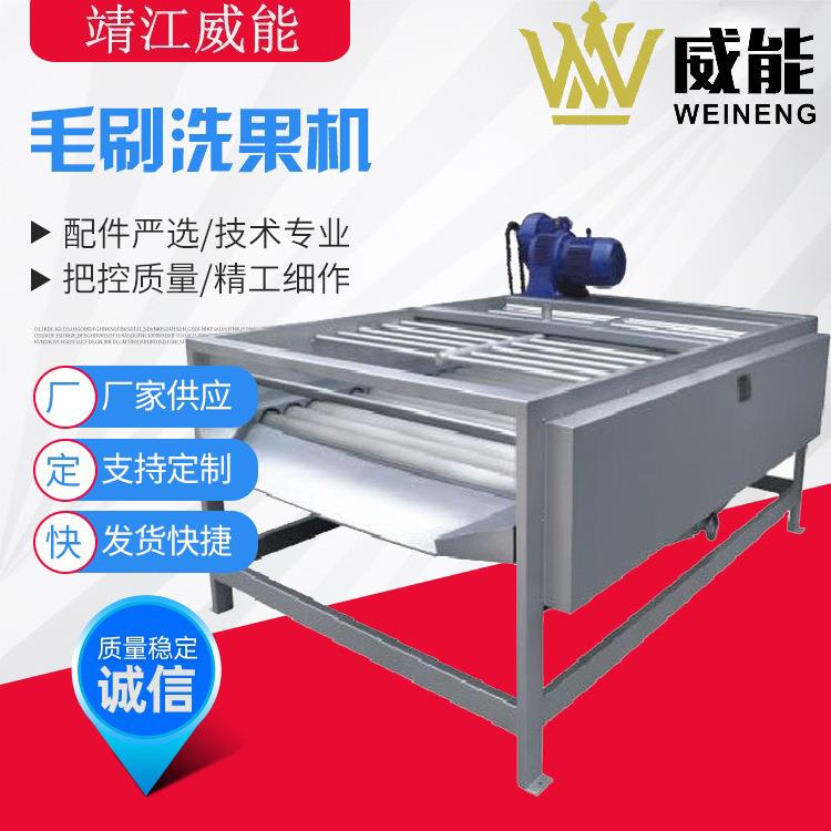 厂家直销大型工业商用菠萝橙子苹果百香果鸡蛋毛刷清洗机