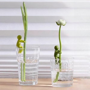 水培植物生长伴侣扶正扶枝