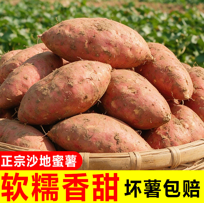 板栗蜜薯9斤新鲜红薯小香薯西瓜红烟薯25号西瓜红糖心地瓜薯番薯