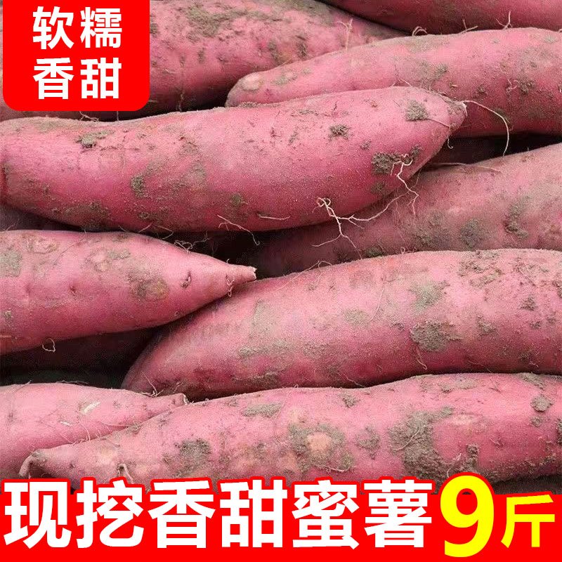新鲜农家自种25号糖心红薯