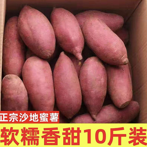 新鲜农家自种25号糖心红薯