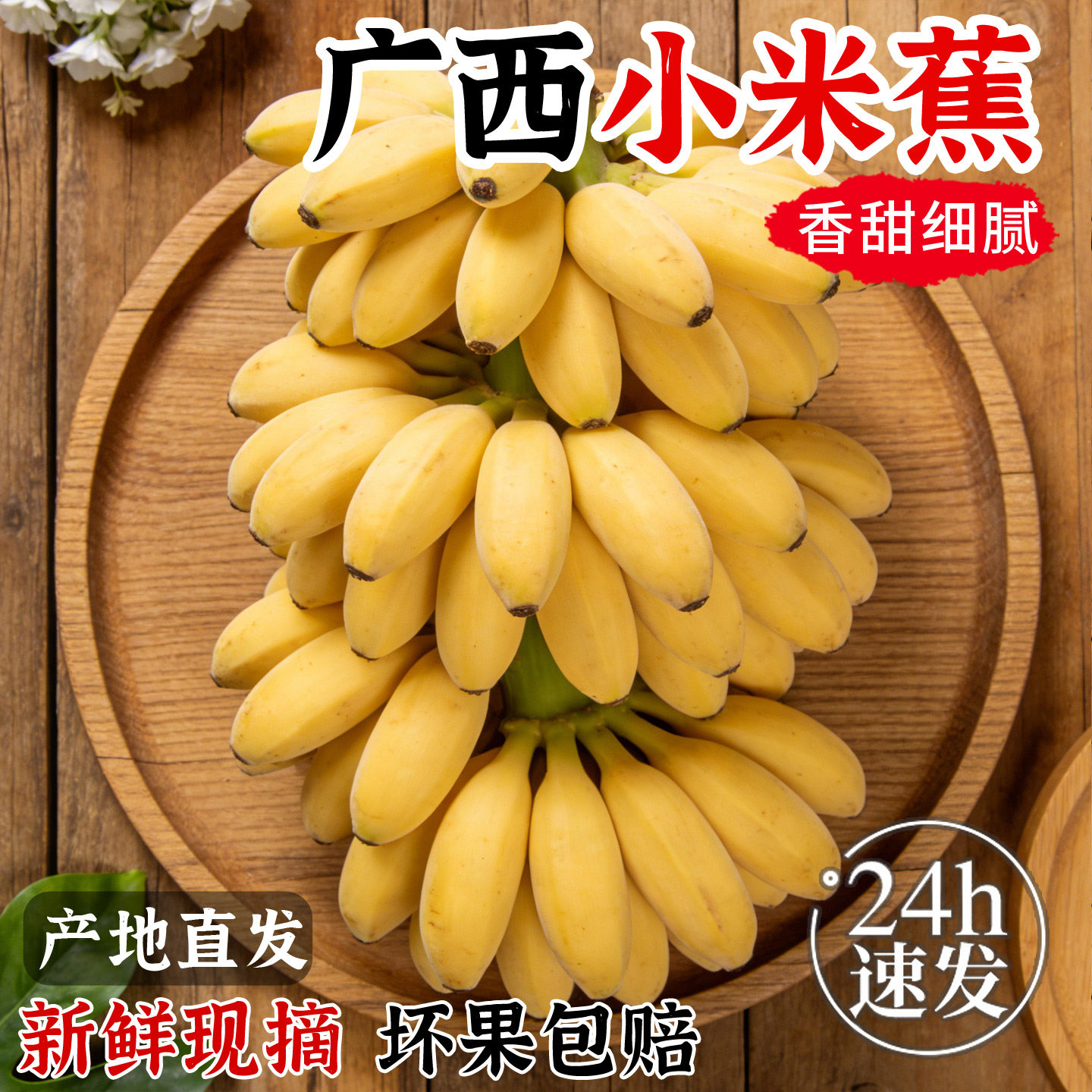 正宗广西小米蕉当季新鲜水果小香蕉产地直发小芭蕉酸甜蕉小蕉包邮