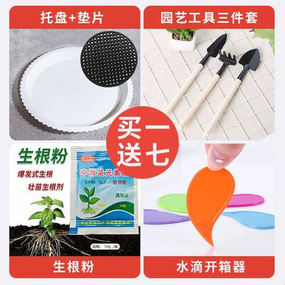 现代轻奢陶瓷花盆大号口径种树盆栽绿植落地摆件龟背竹发财树通用