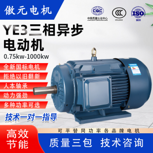 全铜三相异步电动机11/15/18.5/22/30/37/55千瓦45KW380V国标电机