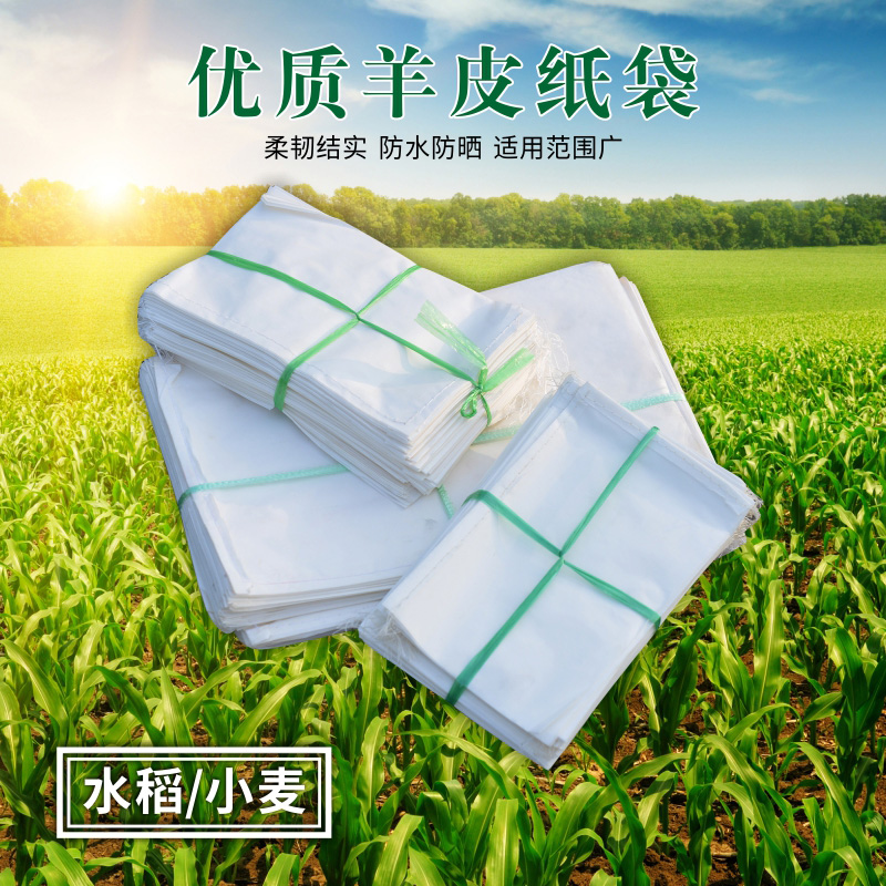 羊皮纸袋 硫酸纸袋 授粉隔离套 育种套袋 杂交纸S袋 小麦玉米套袋