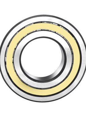 进口GAL NU2224 2226 2228 2230 2232 2234EW EM C3 圆柱滚子轴承