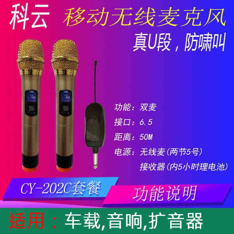 移动音响单反手机电脑家用户外一体无线话筒麦克风图片
