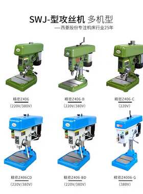 西菱高速台钻精密台式钻床小型多功能Z406B C D Z4006G ZWG-4 6