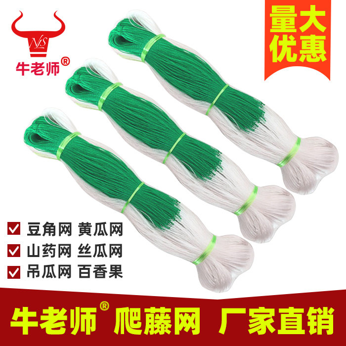 豆角丝瓜黄瓜苦瓜豇豆爬藤网