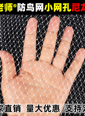 防鸟网果树果园大棚尼龙线防鸟用网农用樱桃树嘉宝果葡萄鱼塘天网