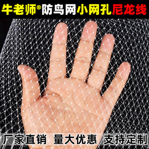 全新尼龙料防鸟网牛老师抗暴晒