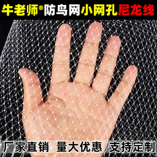 防鸟网果树果园大棚尼龙线防鸟用网农用樱桃树嘉宝果葡萄鱼塘天网