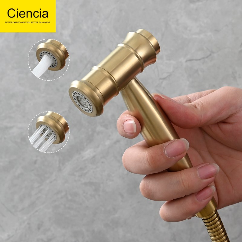 厕所仿古双出水模式不锈钢马桶喷枪套装卫生间妇洗器喷头马桶伴侣