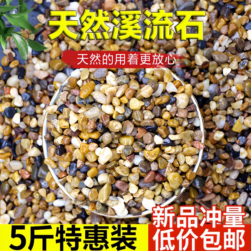 天然河沙溪流沙鹅卵石原生水族鱼缸水草缸多肉铺面小石.子过滤豆