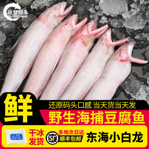 龙头鱼水潺鱼特大野生顺丰直发