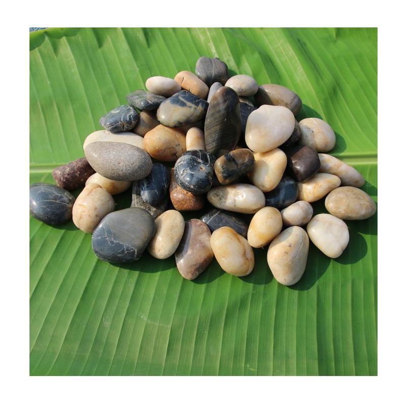 黑色装饰专用染色鹅卵石供应｜珠海中山产五彩雨花石铺路造景两用