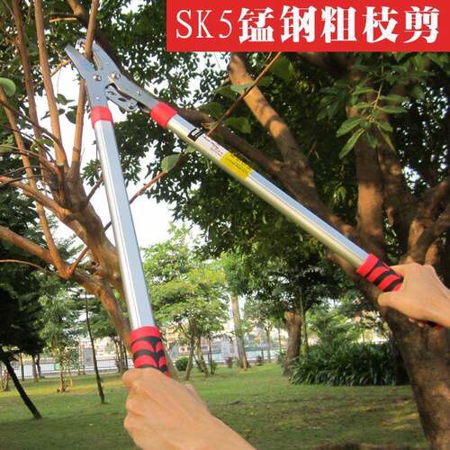 黄师傅剪枝剪 粗枝大力剪 SK5钢剪树枝剪刀 果树修枝剪园林剪刀