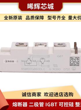 SKM75GB17E4 SKM100GB173D 电子元器件 库存充足晶闸管与可控硅