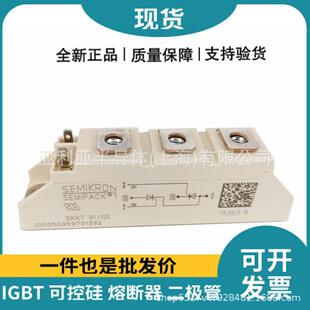 12E 大功率电器元 半控可控硅 晶闸管 件件 双向可控硅 SKKT91