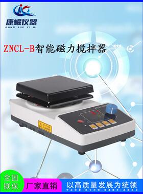 ZNCL型智能磁力搅拌器（带加热）智能恒温磁力搅拌器小型加热搅拌