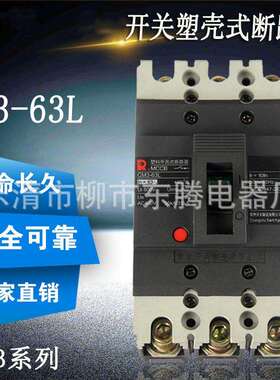 质保1年断路器CM3-63L 10A 16A 20A 25A 32A 40A 50A 63A 信誉