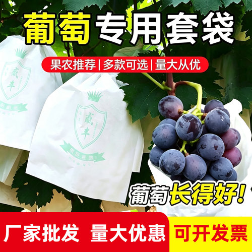 葡萄袋子专用套袋透气防雨水批发
