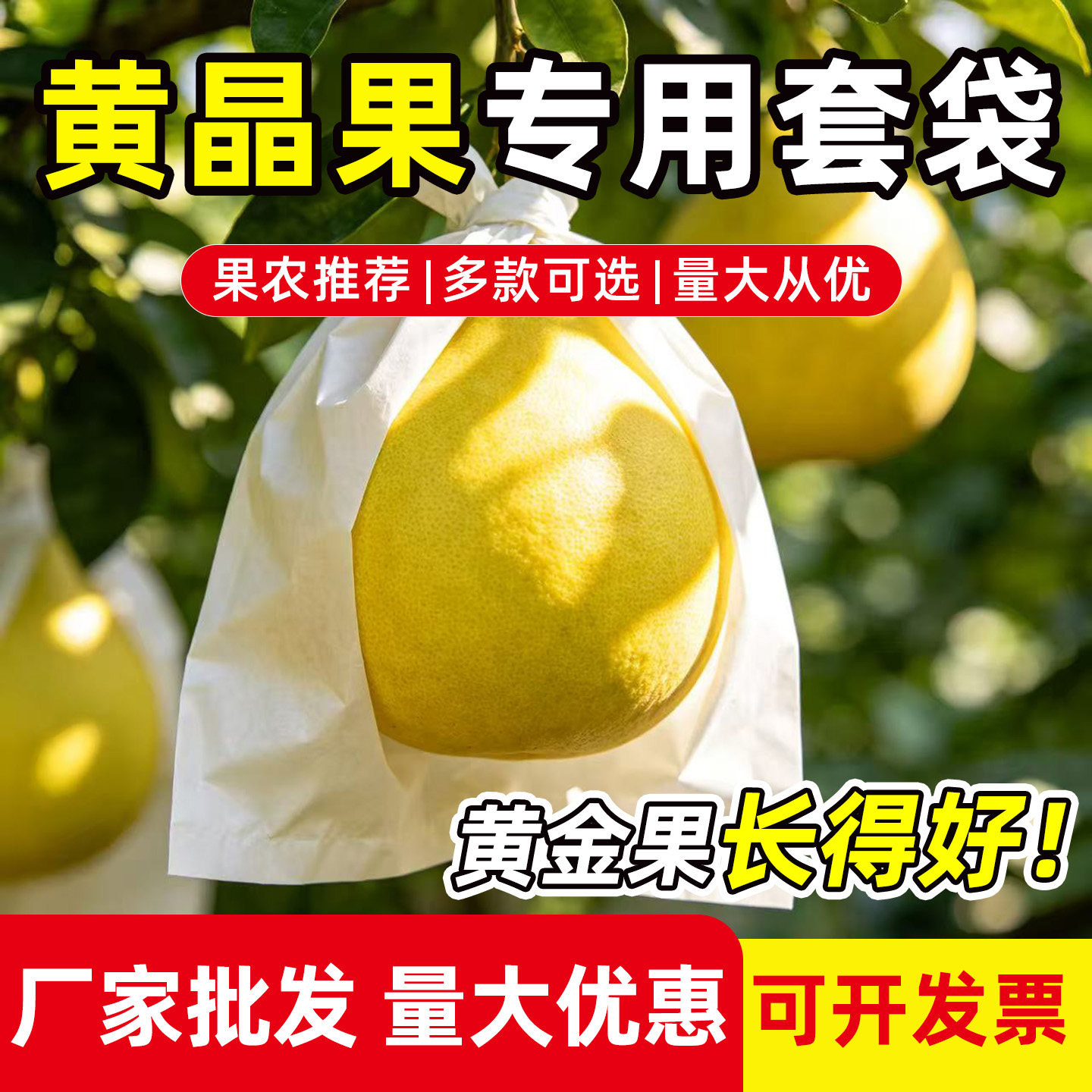 黄晶果热情果百香果防虫防水套袋